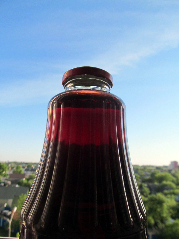 Кулинары поздравляют ЯП с днём рождения!