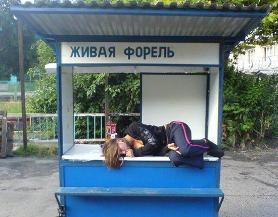 Скотсети и прочие интернеты 18.06.18