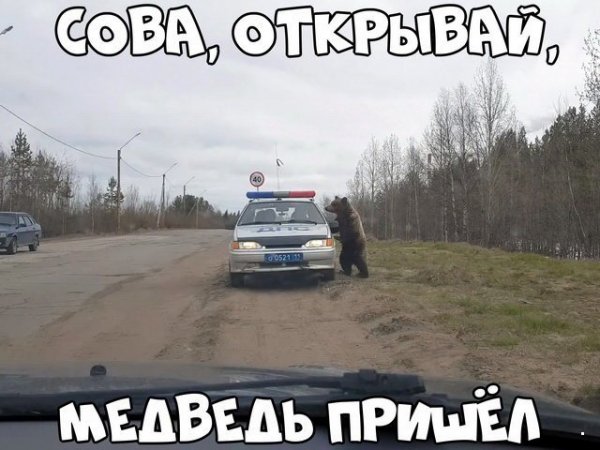 Прикольные картинки обо всем