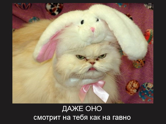 Следуй за белым кроликом