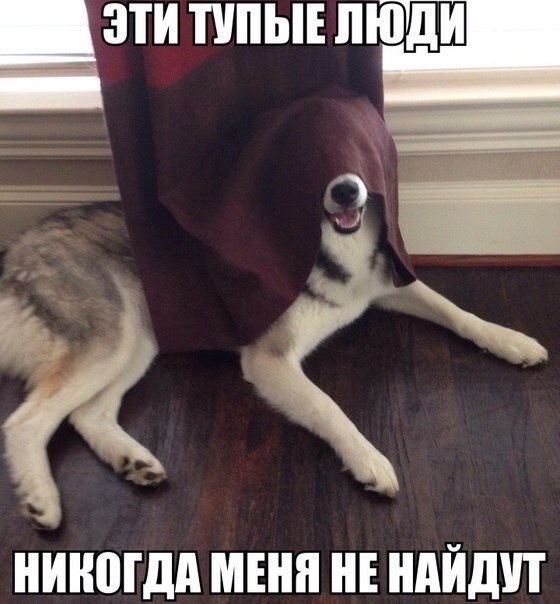 Нестандартный юмор