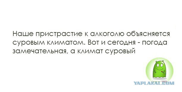Прикольные комментарии и высказывания из Сети. 03. 10. 2018