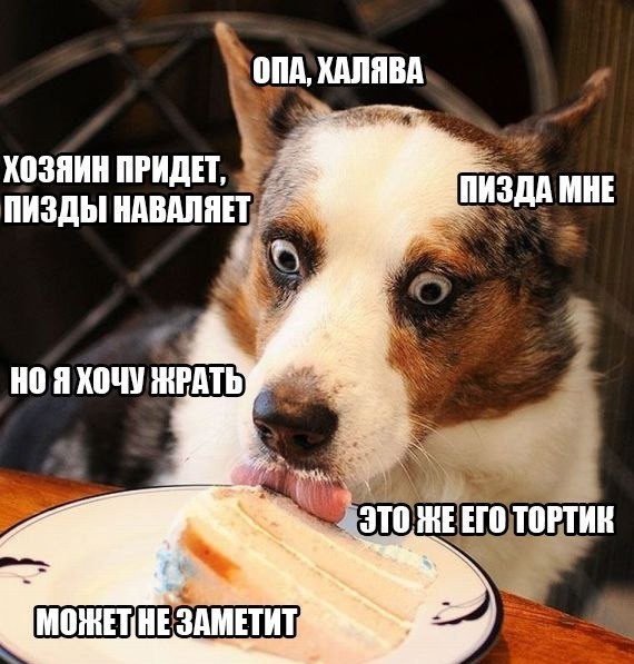 Немного картинок в эту субботу