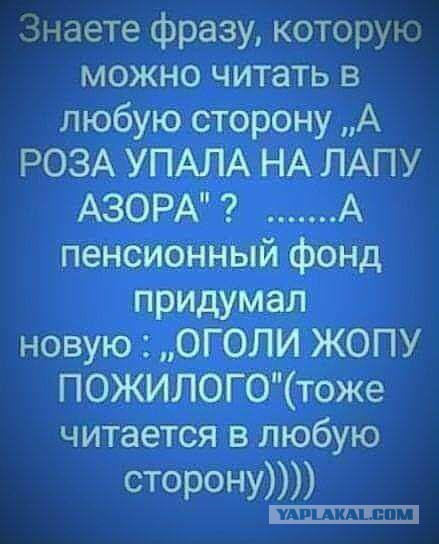 Чуток картинок 02.11.19