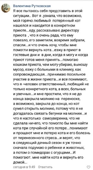 Помогите вернуть кота! Приют "Преданное сердце" украл кота и не отдает!-2