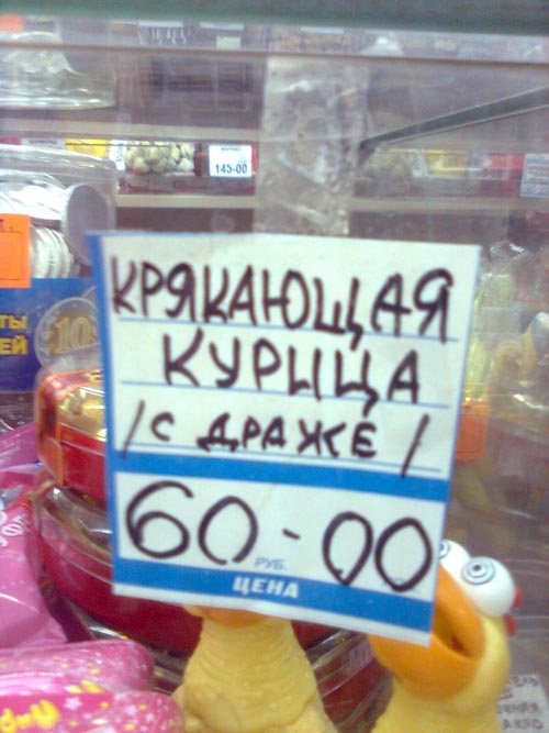 Курица