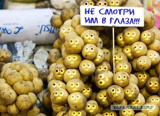 "Русификация" на тайском фруктовом рынке