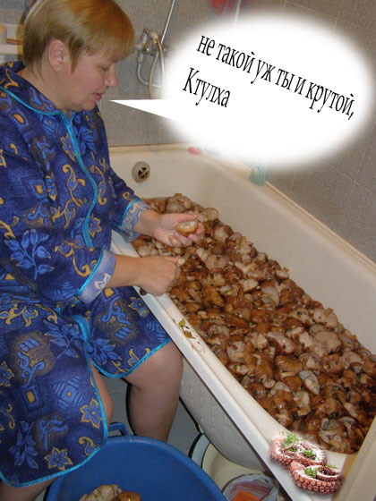 Фотожаба: Грибы на ноутбуке