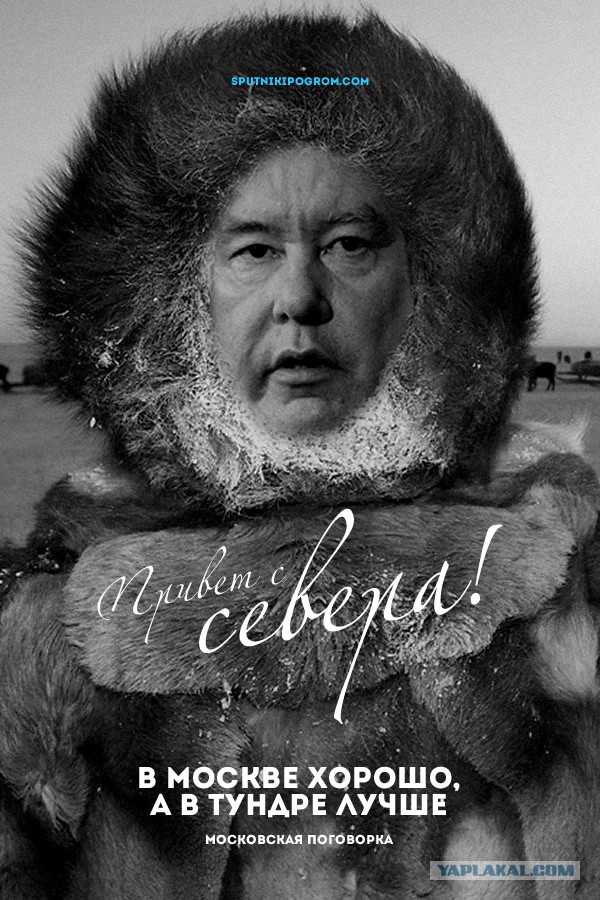 Режим самоизоляции, пропуска и график прогулок отменят в Москве с 9 июня