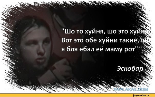 Линолеум или ламинат