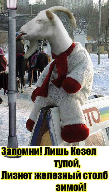 Коза с языком: А вот вам!