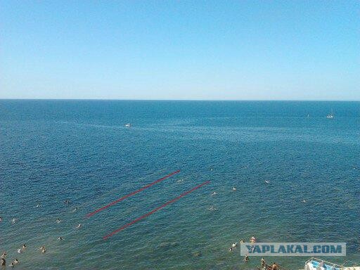 Друг жены, или один раз не считается