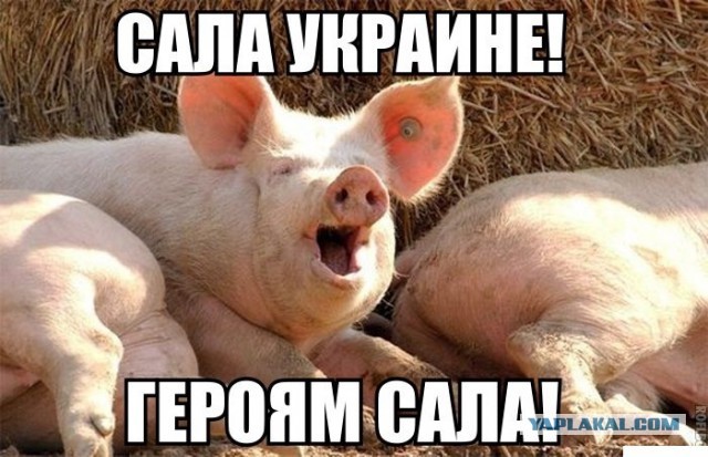 Если бы Украинцы выбирали президента Белоруссии