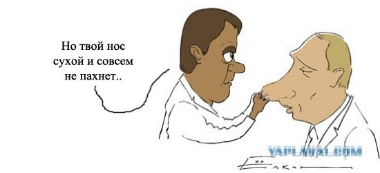 Экзотический сувенир