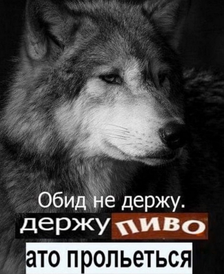Сколько стоит надоевшая жена