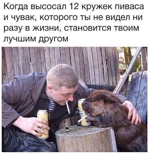 Алкопост 7.11.20