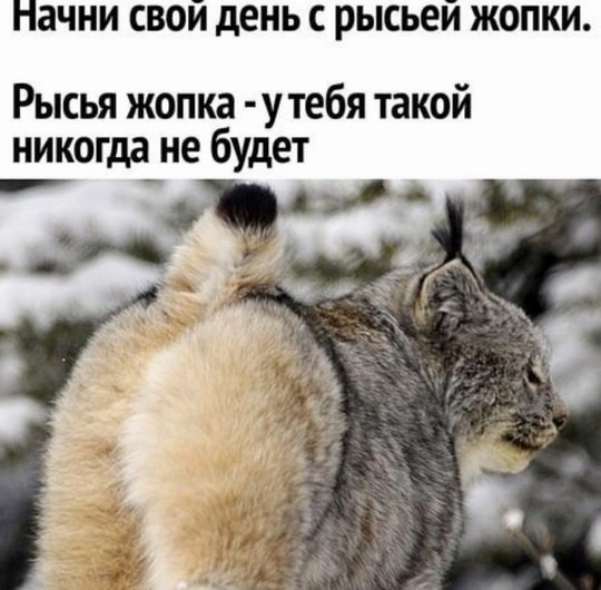 Прикольные картинки 02.12.20
