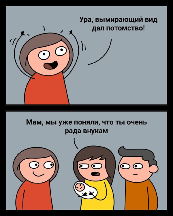 Кретинизмы из сети 05.02.21