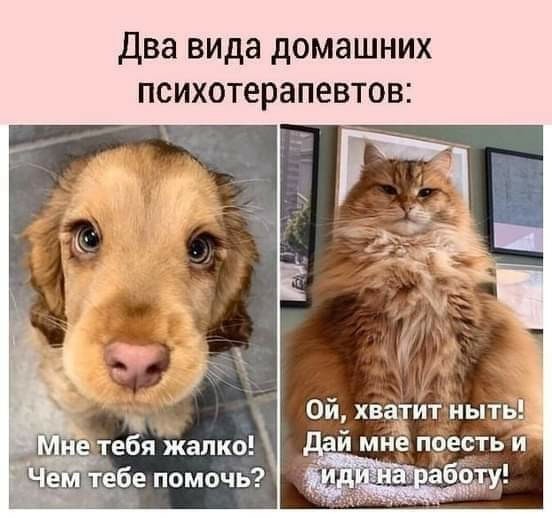 Ржачные мемчики - Часть 1