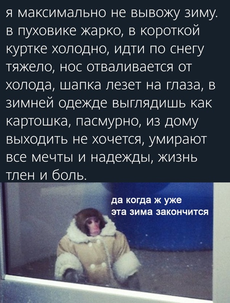 Картинки и мемы для настроения