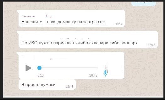 Немного о родительских чатах (в картинках)