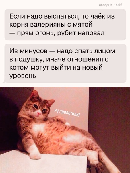 Картинки и мемы для настроения 001