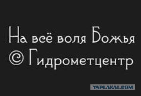 России обещают самую суровую зиму за последние 30 лет