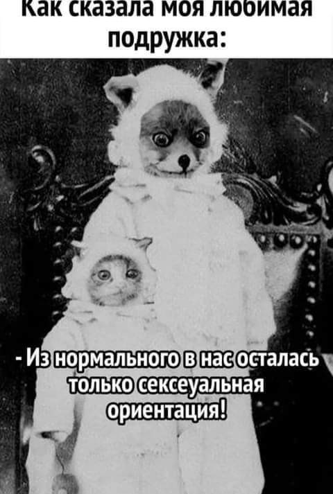 Картинки с комментариями
