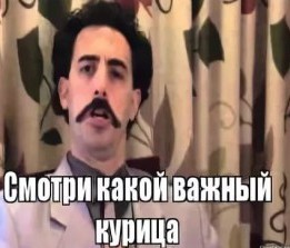 ФСБ задержала группу членов неонацистской террористической организации, планировавших убийство Соловьева