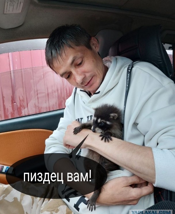 Мой друг