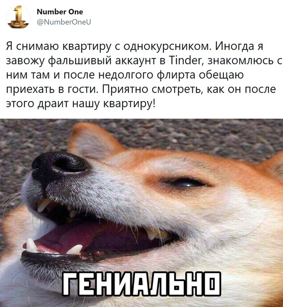 Картинки и мемы для настроения - 17