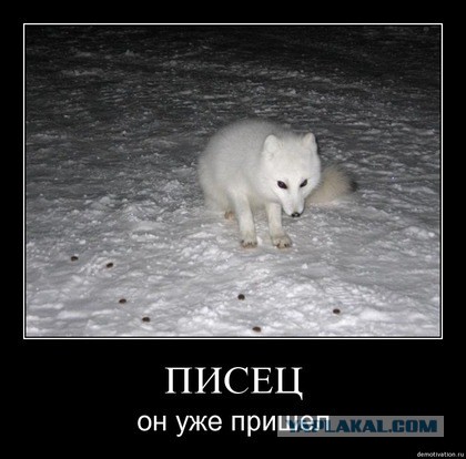 Страшно, с*ка