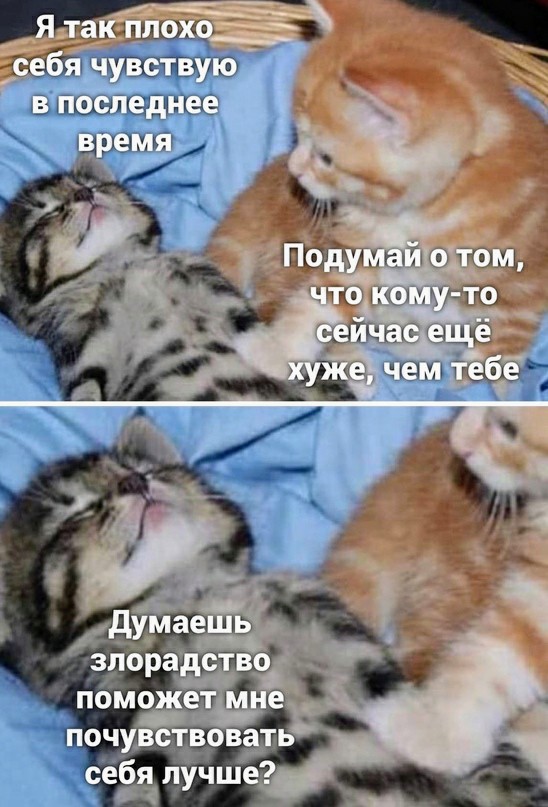 Картинки и мемы для настроения - 23