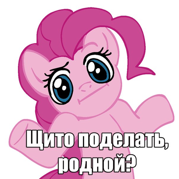 Кот pinky