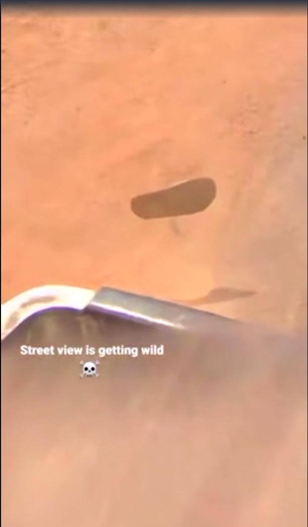 Что только не встретишь на Google Maps