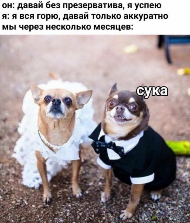 Пятница. И немного слегка пошлых картинок с надписями и без 16+ (17.09)