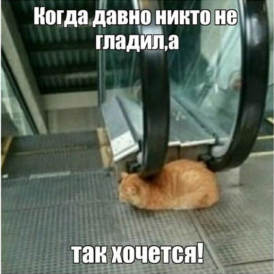 Так себе картинки 13.07.23