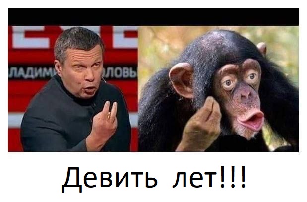 В Краснодаре женщина пыталась напасть на жён и матерей участников СВО, которые плели во дворе маскировочные сети