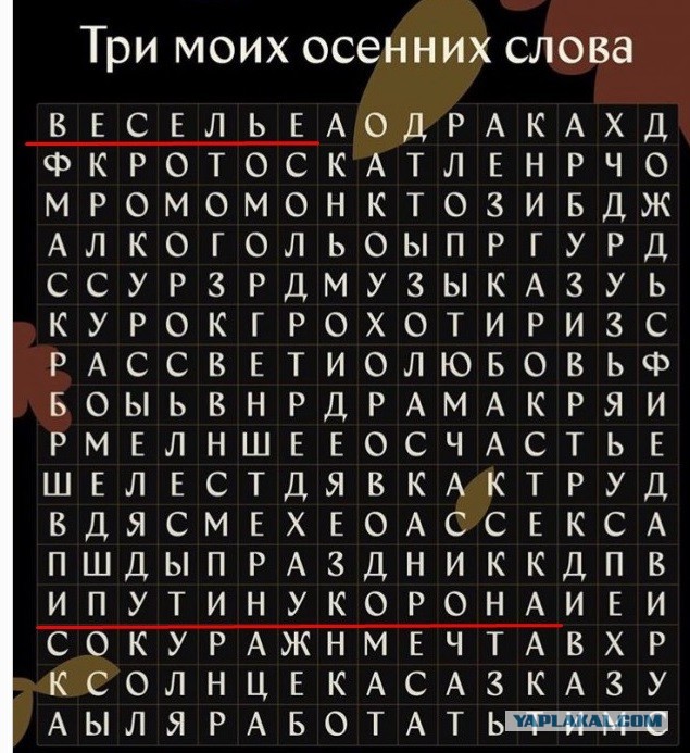 Весёлый полтишок 26.10.23