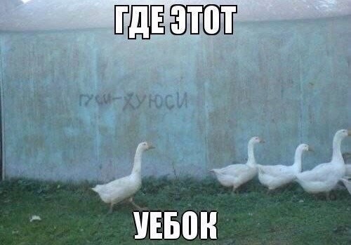 Так себе картинки 28.10.23
