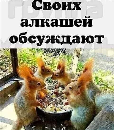 Маленькая пятница