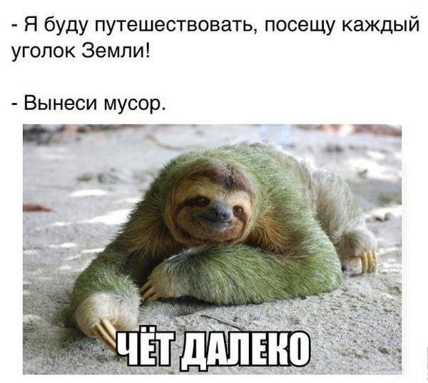 Всего понемногу. От 27.05