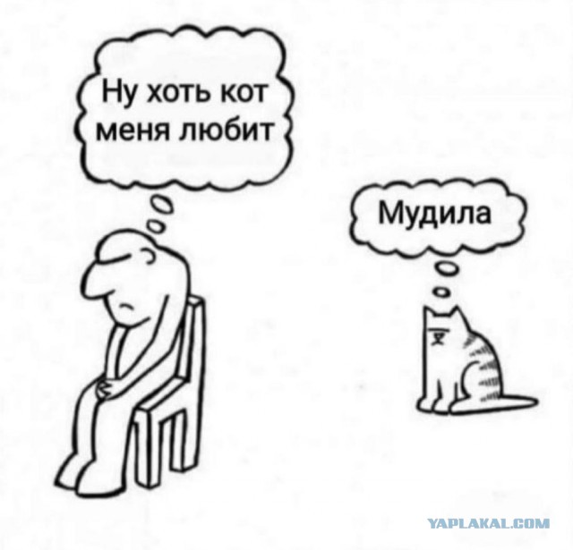 7 августа - День холостяка