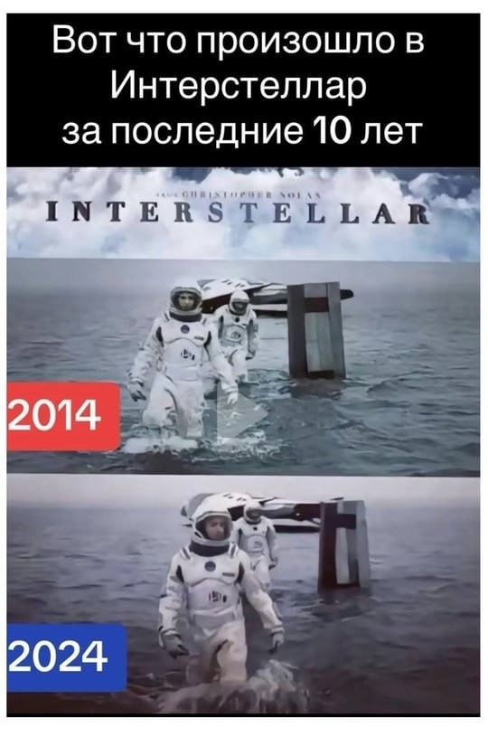 Немного забавных картинок от 22.08.2024
