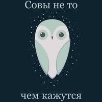 Ну ни хрена ж себе птичка!