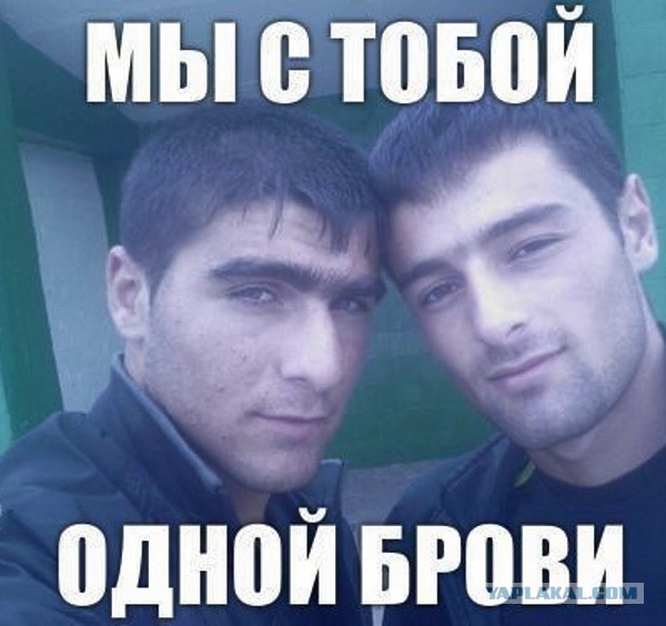 Как интересно они ездят
