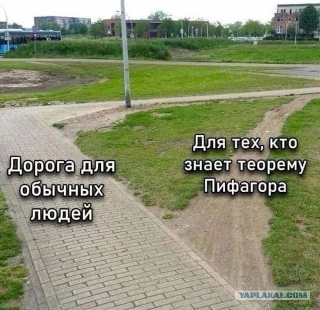 Так себе картинки 11.11.24