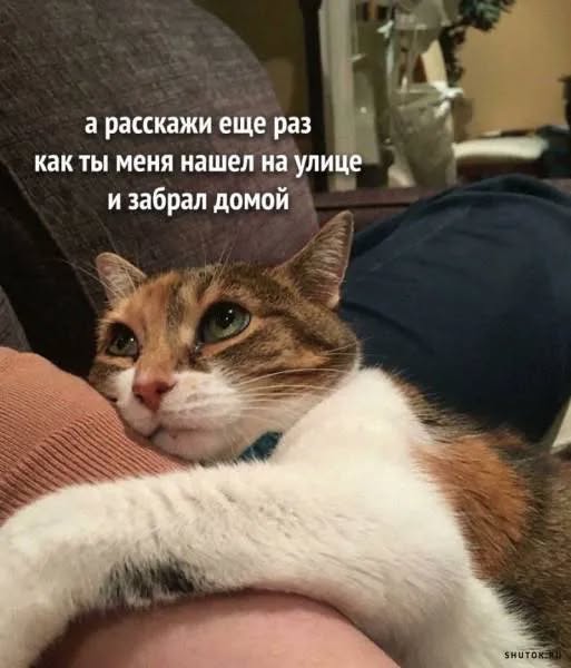 Завалялось тут случайно немного забавных картинок