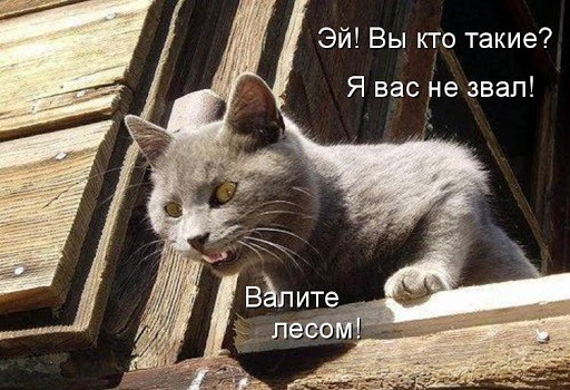 Завалялось тут случайно немного забавных картинок
