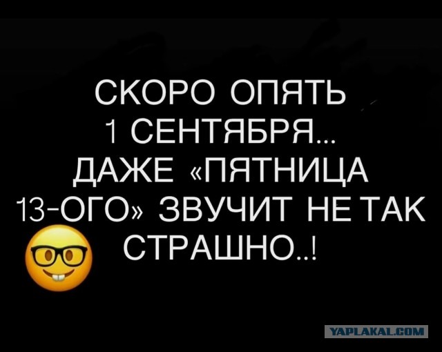 Так себе картинки 24.08.25